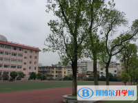 2025开封中考语文满分是多少？