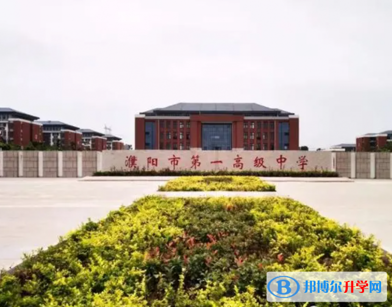 濮阳高中所有学校高考成绩排名