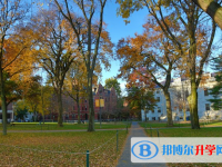 2025晋城市中考语文满分是多少？