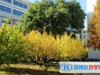 2025长治市中考语文满分是多少？