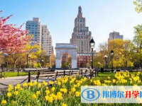 2025阜阳中考历史满分是多少？