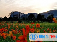 2025芜湖中考道德与法制满分是多少？