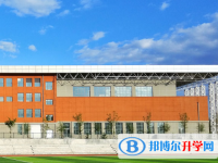 2025合肥中考化学满分是多少？