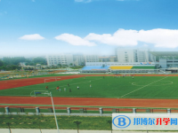 2025铜陵中考数学满分是多少？