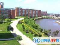 2025楚雄中考历史满分是多少？