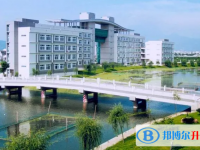 2022湛江市少林学校、崇文实验学校录取分数线（2023参考）