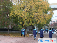 安徽临泉第一中学2025年招生简章