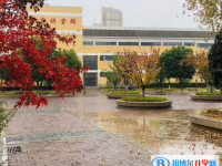 安徽临泉第一中学2024年招生代码