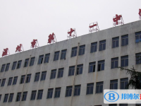 温州市第十一中学2025年招生简章