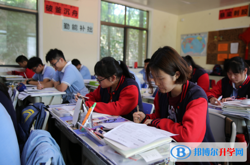 南京艾伦国际学校2023年课程体系