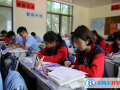 南京艾伦国际学校2023年课程体系