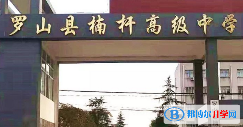 2022罗山县楠杆高中录取分数线（2023参考）
