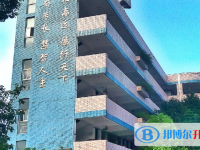 瑞安市第五中学2025年排名