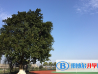 温州市第五十一中学2025年排名