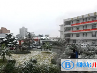 温州市任岩松中学2025年招生简章