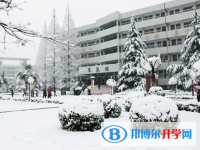 安徽师范大学附属中学2025年学费、收费多少