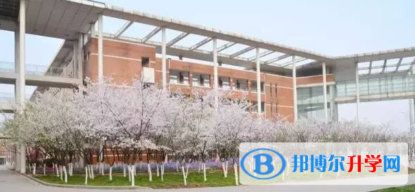 南京外国语学校仙林分校2023年课程体系