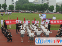 浙江省桐乡第一中学2025年招生办联系电话
