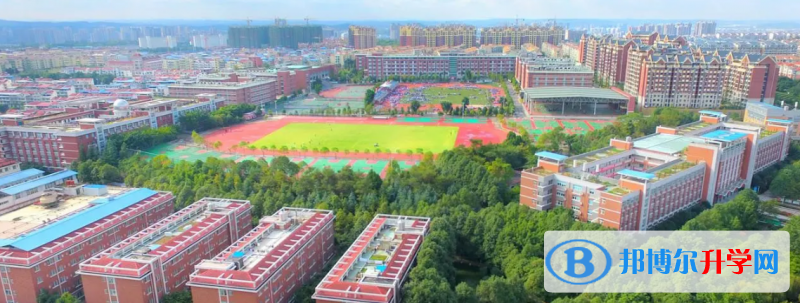 2022绵阳东辰国际学校录取分数线(2023参考)