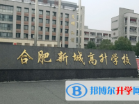2022肥东县高升学校录取分数线(2023参考)