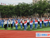 三亚市田家炳高级中学历年招生分数线一览表(2025参考)
