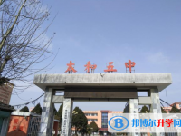 太和五中录取分数线(2023年参考)
