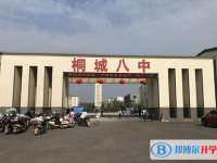 桐城中考录取分数线(2023年参考)