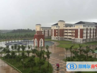 2025西南大学临高实验中学多少钱(学费明细)