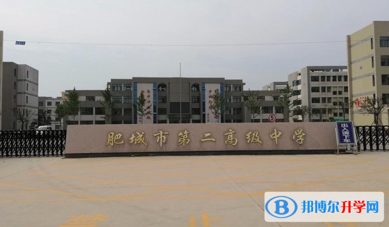 肥城二中录取分数线(2023年参考)