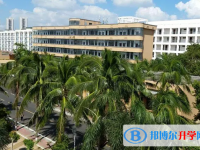 2025海南海政学校多少钱(学费明细)