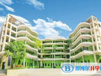 2025三亚华侨学校招生计划 招生人数是多少(附要求、条件、对象)