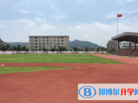 乐清市大荆中学、芙蓉中学录取分数线(2023年参考)