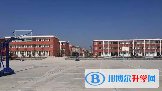 确山中考录取分数线(2023年参考)