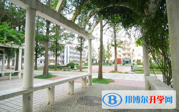 汝南一高录取分数线(2023年参考)
