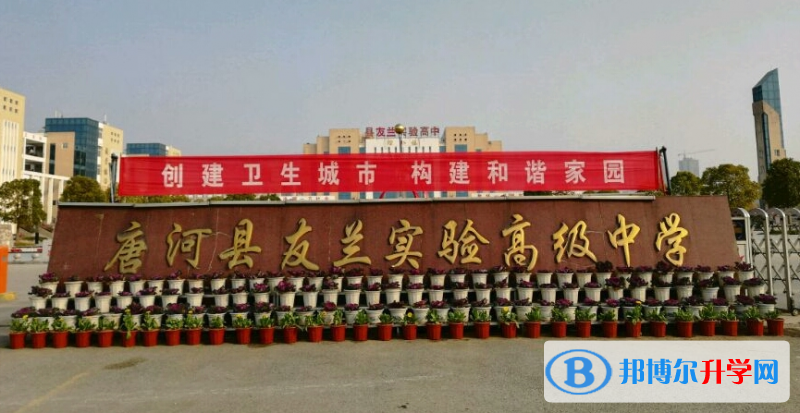 唐河县友兰实验高中录取分数线(2023年参考)