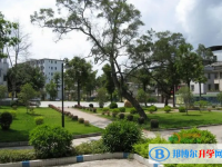 兴宁一中历年招生分数线一览表(2025参考)