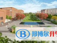 2025深圳市第二实验中学招生计划 招生人数是多少(附要求、条件、对象)