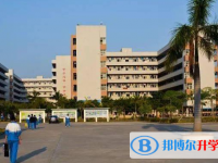 电白县第一中学历年招生分数线一览表(2025参考)