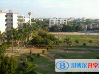 廷锴纪念中学历年招生分数线一览表(2025参考)