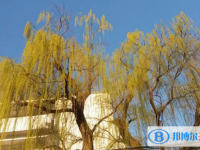 2025阳春市第二中学多少钱(学费明细)