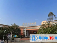深圳市龙城高级中学历年招生分数线一览表(2025参考)