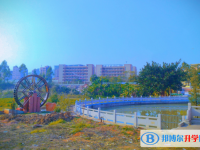 2025东源县东源中学招生计划 招生人数是多少(附要求、条件、对象)