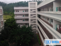 2025深圳市教苑中学多少钱(学费明细)