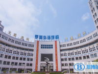 2025深圳市罗湖外语学校招生简章