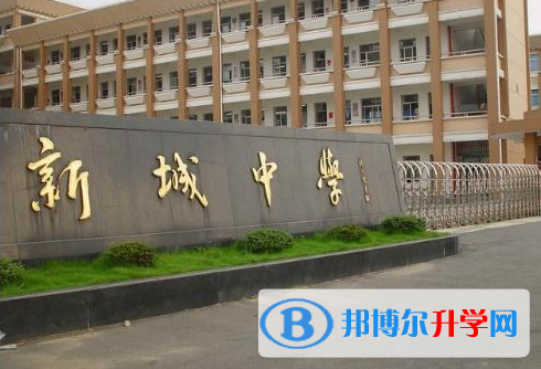 2023广州市番禺区洛溪新城中学招生计划 招生人数是多少(附要求、条件、对象)
