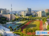 2025东源县高级中学招生简章