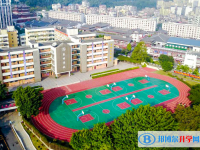 2024深圳市东升学校招生计划 招生人数是多少(附要求、条件、对象)