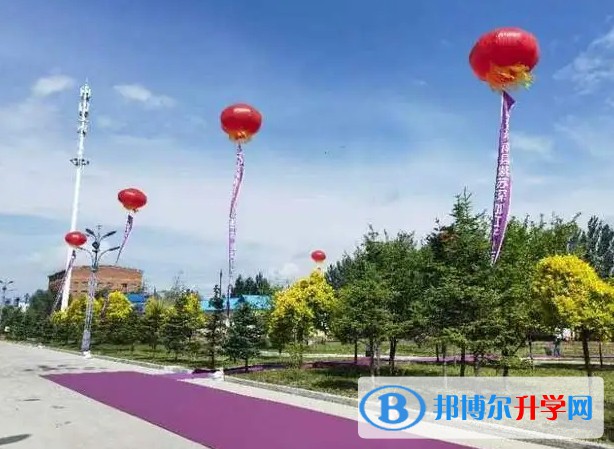 2024桦南县第二中学招生计划 招生人数是多少(附要求、条件、对象)