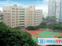 2024重庆市育才成功学校招生计划 招生人数是多少(附要求、条件、对象)