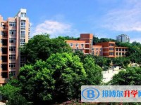 2025重庆市朝阳中学校招生计划 招生人数是多少(附要求、条件、对象)
